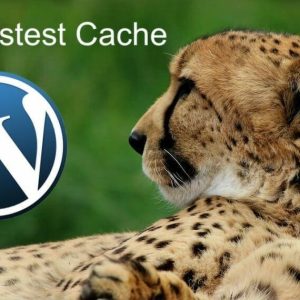 wp fastest cache review