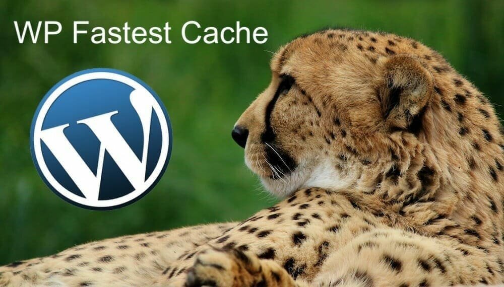 wp fastest cache review